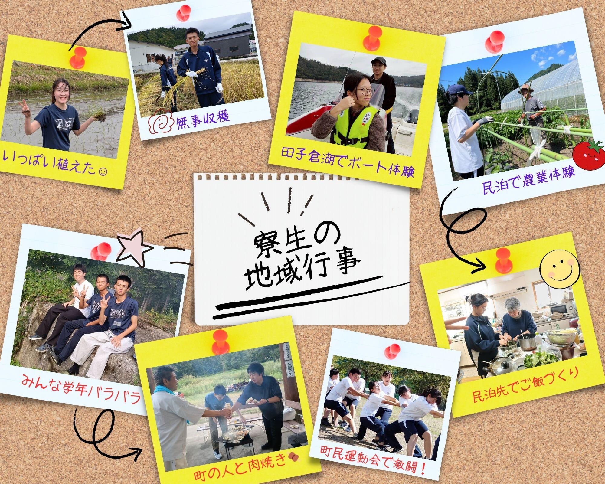 地域行事体験.jpg