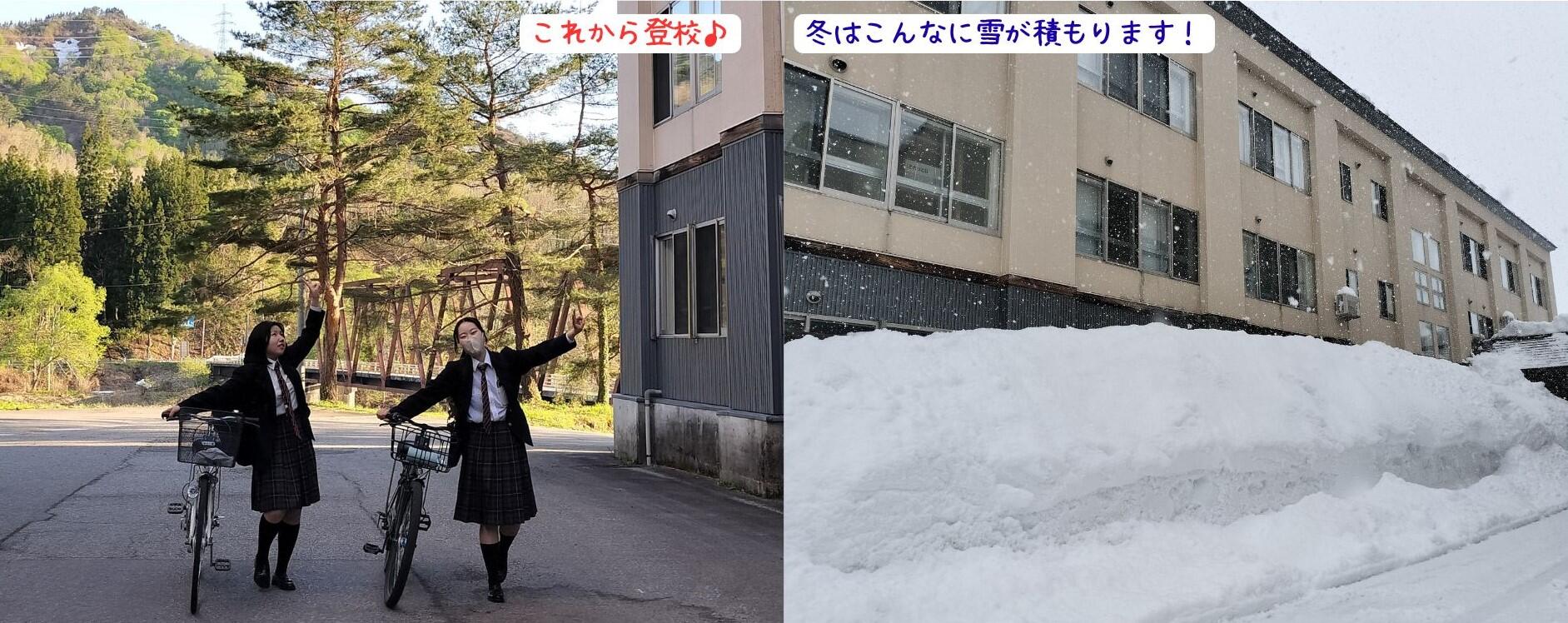 これから登校♪.jpg
